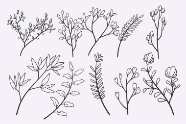 flower leaves doodle hand drawn vector illustration set
