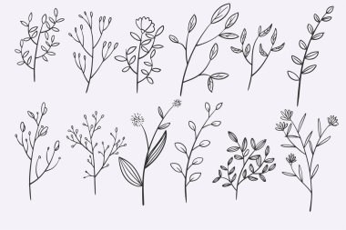 flower leaves doodle hand drawn vector illustration set