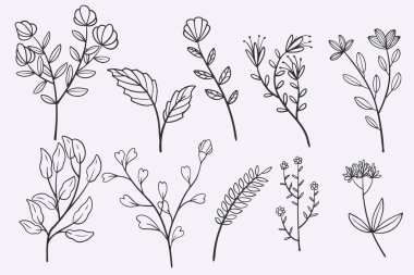 flower leaves doodle hand drawn vector illustration set