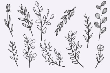 flower leaves doodle hand drawn vector illustration set