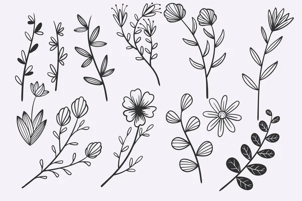 Flower Leaves Doodle Hand Drawn Vector Illustration Set — Stockvector