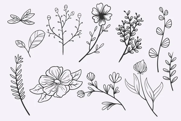 Flower Leaves Doodle Hand Drawn Vector Illustration Set — Vetor de Stock