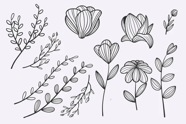 Flower Leaves Doodle Hand Drawn Vector Illustration Set — Stockvector