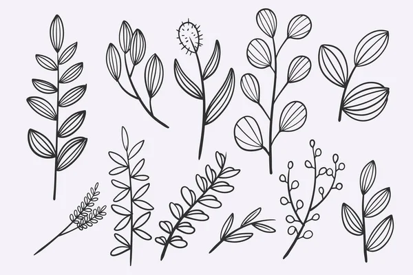 Flower Leaves Doodle Hand Drawn Vector Illustration Set — Stockvector