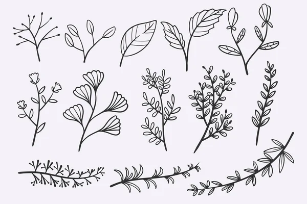Flower Leaves Doodle Hand Drawn Vector Illustration Set — Vector de stock