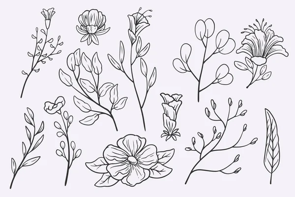 Flower Leaves Doodle Hand Drawn Vector Illustration Set — Stok Vektör