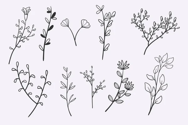 Flower Leaves Doodle Hand Drawn Vector Illustration Set — Stock vektor