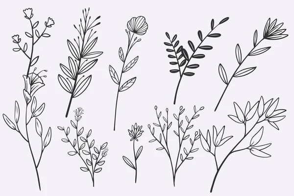 Flower Leaves Doodle Hand Drawn Vector Illustration Set — Vector de stock