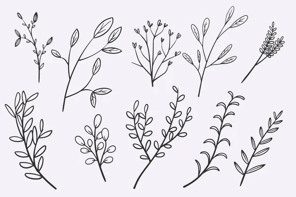 Flower Leaves Doodle Hand Drawn Vector Illustration Set — Stockvector