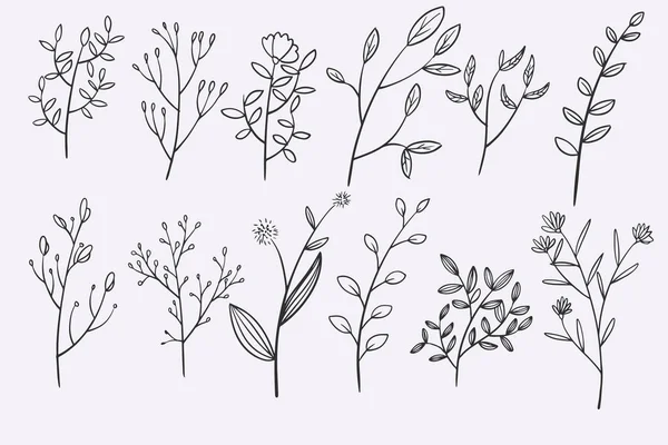 flower leaves doodle hand drawn vector illustration set