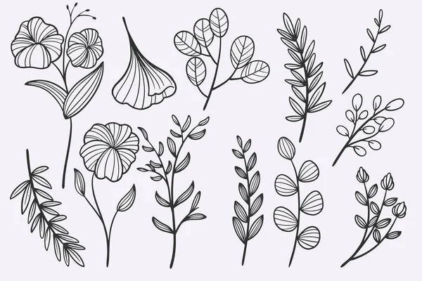 Flower Leaves Doodle Hand Drawn Vector Illustration Set — Vector de stock