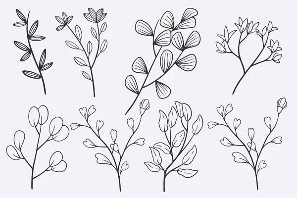 Flower Leaves Doodle Hand Drawn Vector Illustration Set — Vettoriale Stock