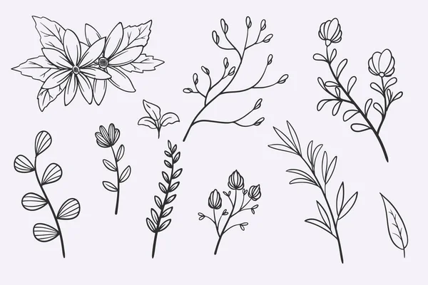 Flower Leaves Doodle Hand Drawn Vector Illustration Set — Vector de stock