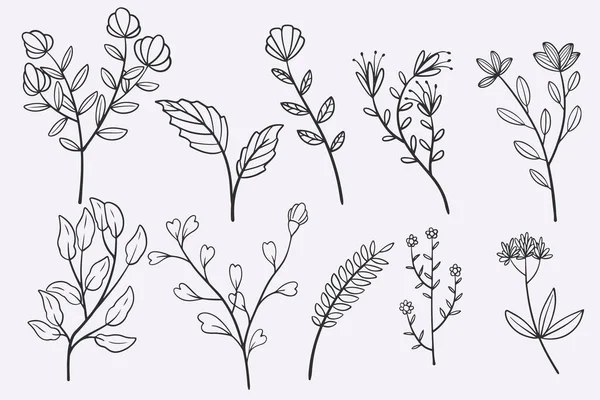 flower leaves doodle hand drawn vector illustration set