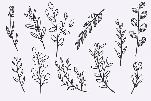 flower leaves doodle hand drawn vector illustration set