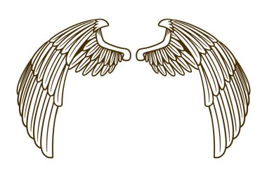 eagle wing vector illustration