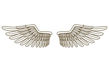 eagle wing vector illustration
