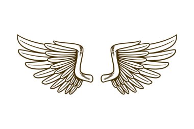 eagle wing vector illustration