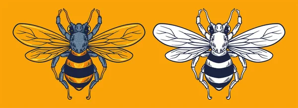 Bee Mascot Vector Illustration Cartoon Style — Stockvector