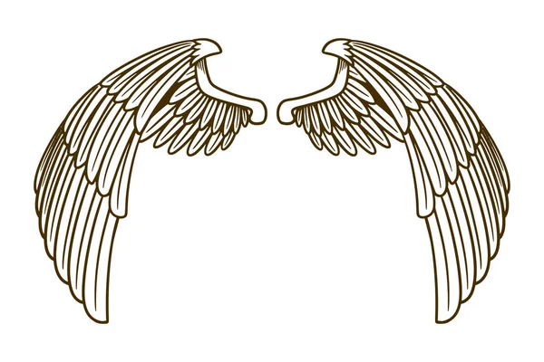 Eagle Wing Vector Illustration — Stockvektor