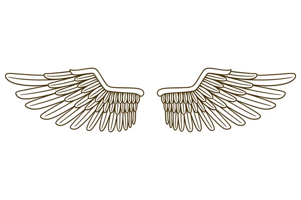 Eagle Wing Vector Illustration — Vetor de Stock