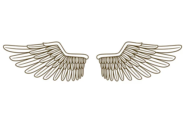 Eagle Wing Vector Illustration — Stockvektor