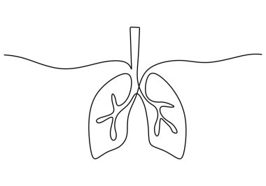 One continuous single line hand drawing of lungs isolated on white background.