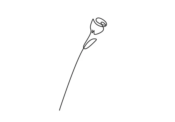 One Continuous Single Line Hand Drawing Rose Flower Isolated White — Stock Vector