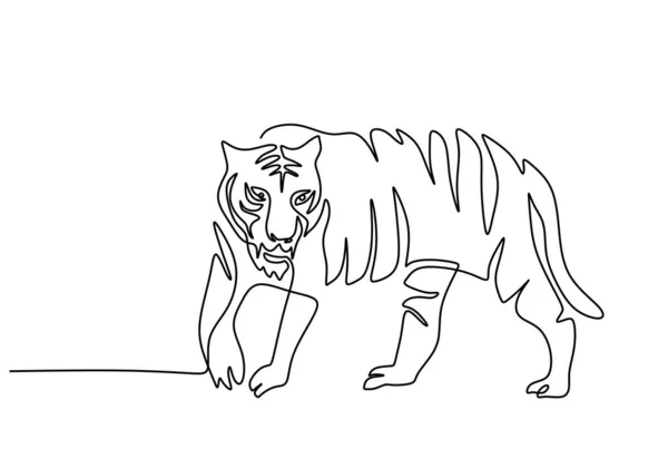 One Continuous Single Line Hand Drawing International Tiger Day Cool - Stok Vektor