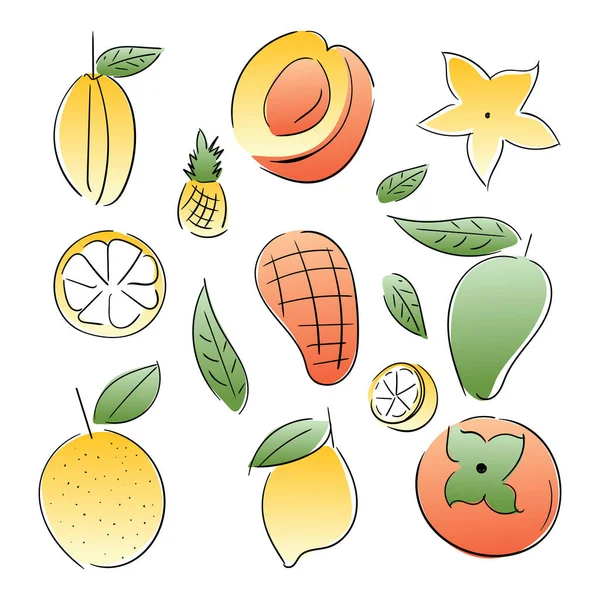 柑橘類 レモン アプリコット マンゴー パイナップル パパイヤ 白い背景に隔離されたスターフルーツなどのオレンジフルーツ要素 — ストックベクタ