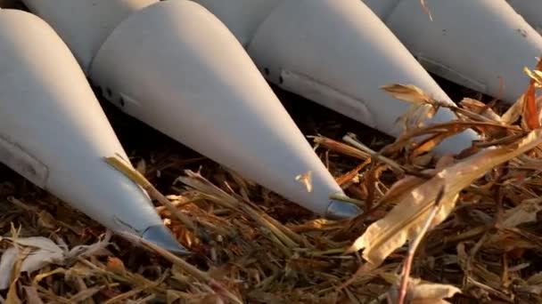 Механізм Комбайна Збирання Кукурудзи Крупним Планом Повільний Рух — стокове відео