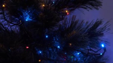 Ağaçta çok renkli ışıklar yanıp sönüyor. Yakın plan..