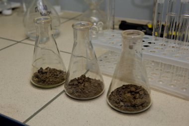 Toprak örnekleriyle dolu cam eşyalar. Laboratuvar araştırması. Yakın plan..