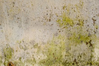 Doku arkaplan kavramı, eski beyaz tuğla duvar.