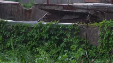 Şiddetli yağmur, çok güçlü yaz fırtınası..