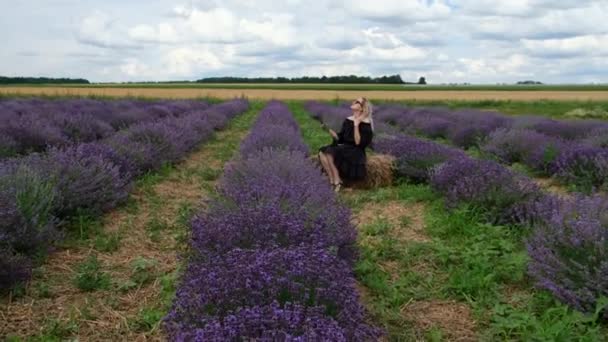 Relaxed Young Woman Black Dress Resting Lavender Field Sunny Day — Vídeo de Stock