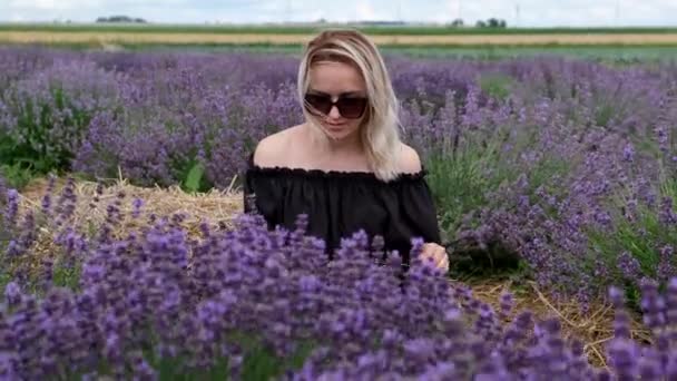 Blanke Vrouw Maakt Een Handgemaakte Decoratie Van Lavendelbloemen Een Lavendelveld — Stockvideo