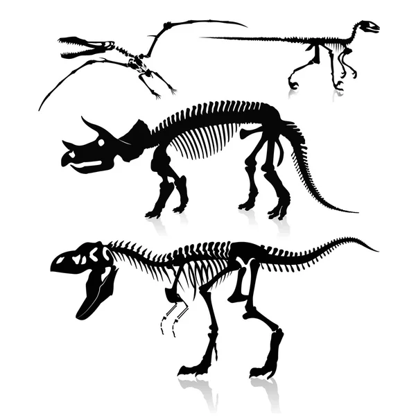 Vektorillustration: Dinosaurier und Fossilien — Stockvektor