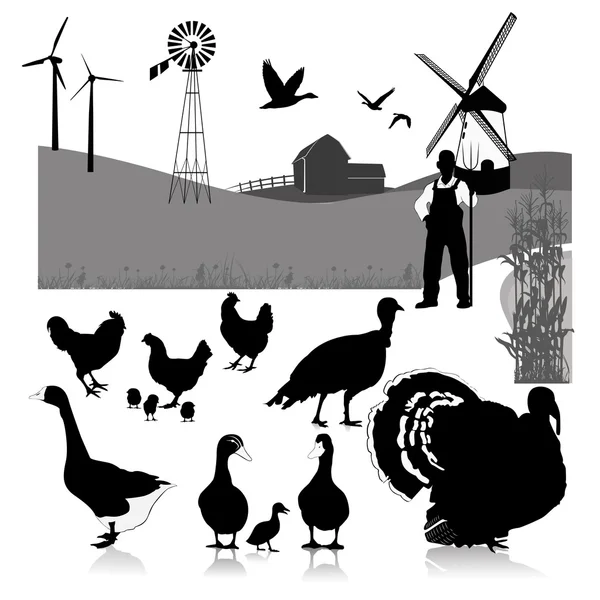 Illustrazione vettoriale: farm birds — Vettoriale Stock