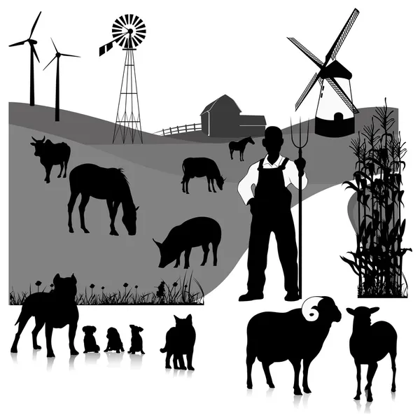 Vector set illustration: farm animals isolated on white Royalty Free Stock Vectors