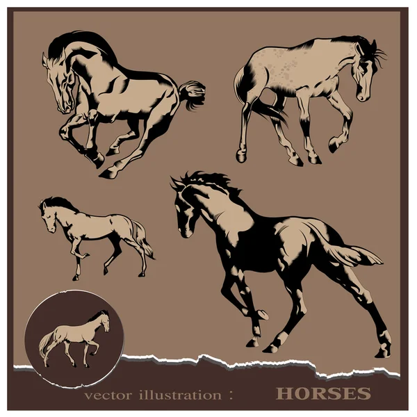 Ilustración vectorial. Diseño de caballo editable — Archivo Imágenes Vectoriales