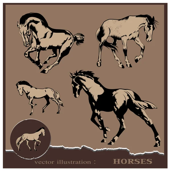Ilustración vectorial. Diseño de caballo editable Vectores de stock libres de derechos