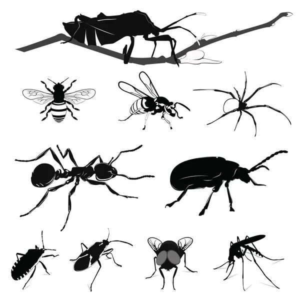 Векторная иллюстрация: Коллекция насекомых изолирована на белом Лицензионные Стоковые Иллюстрации