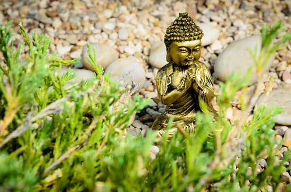 Buddha praying — Stock Photo, Image