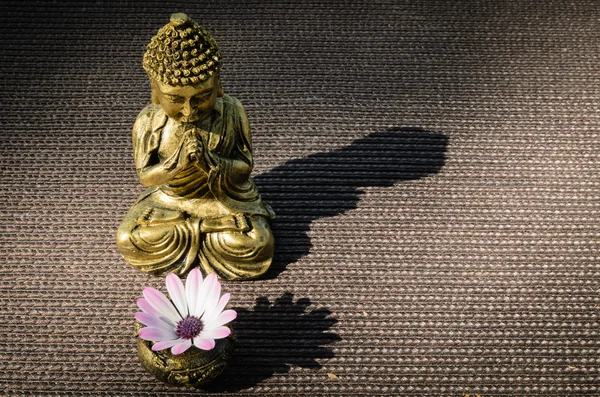 Buddha dan bayangan — Stok Foto