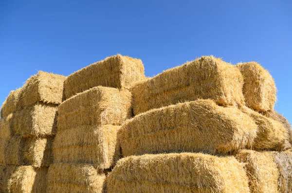 Ballen und blauer Himmel — Stockfoto