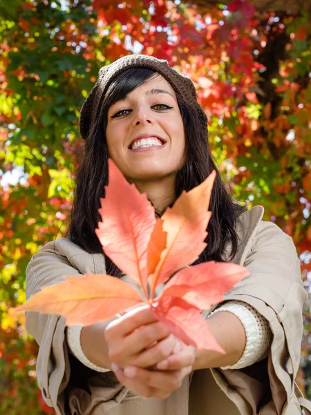 Niedlicher Herbst — Stockfoto