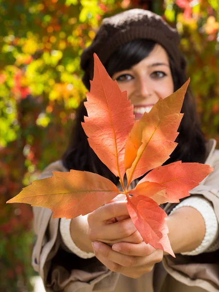 Autumn leaf in woman hands — Stock Photo, Image