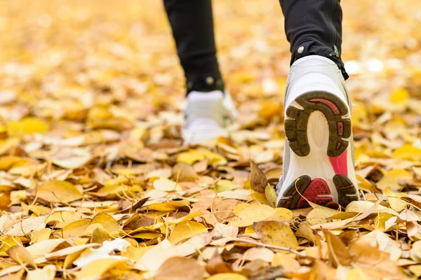 Esporte jogging conceito — Fotografia de Stock