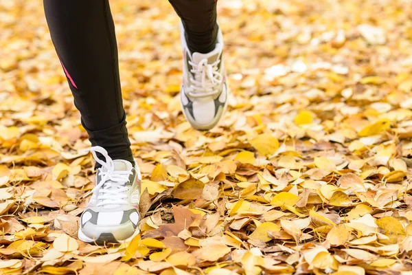 Lauffüße im Herbst — Stockfoto